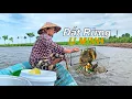 Download Lagu Ervaar het plattelandsleven in het mangrovebos van U Minh