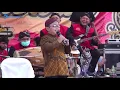 Download Lagu Goyangan arda bikin orang tertawa. Layang kangen