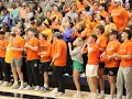 The Hornet 2023 - 2024