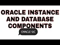 Oracle instance and database components in details
