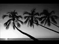 ana achek instrumental cheb khaled.wmv