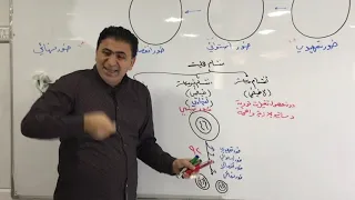 الفصل الاول الخليه انقسام الخلية محاضرة 1 