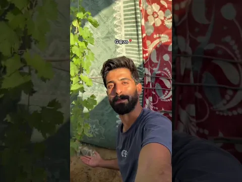 زراعة البذور بعد تنشيفها 🌱🫶