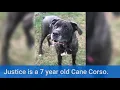 OLD - Justice