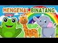 Lagu Belajar Mengenal Nama Nama Binatang | Nama Nama Hewan | Video Pembelajaran Anak Balita dan Batita