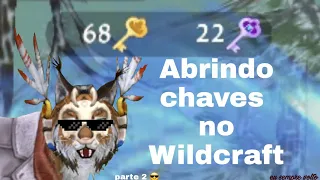Abrindo Chaves no Wildcraft (Parte 2 ????)