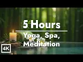 5 Hours Spa Massage Music Slow Ambient Relaxation for Yoga Spa Deep Meditation 4K