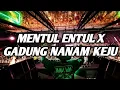 Download Lagu DJ VIRAL MENTUL ENTUL X GADUNG NANAM KEJU !! DJ KARO BOXING FULL BASS TERBARU 2025