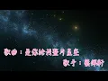 是你給我整片星空