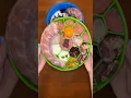 Come feed my raw fed dogs dinner