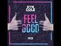 Feel Good - Syn Cole