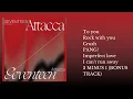 Download Lagu SEVENTEEN (세븐틴) Attaca playlist