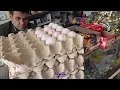 A Homeless Mother Receives Surprise Aid from France, Germany & the UK! ❤️📦