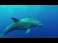 8 Hours of Relaxing Sleep Music: Deep Sleeping Music, Calming Music, Relaxing Music ★147