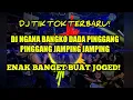 Lagu DJ TIKTOK TERBARU 2019! DJ PASTI NGANA BANGKA DADA KONG BA JAMPING JAMPING! ENAK BANGET BUAT JOGED!