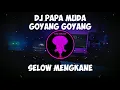 Download Lagu DJ Papa Muda Goyang Goyang