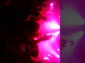 Blumentopf Party safari
