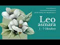 Download Lagu LEO 🏞JALAN KELUAR CEPAT DARI HATI YANG SEDIH🏞 Mari Tarot #tarotindonesia #tarot #leo #tarotreading 