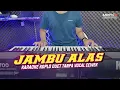 Download Lagu JAMBU ALAS KARAOKE KOPLO SUDAH ADA VOKAL COWOK - TANPA VOKAL CEWEK - ANNYCO KARAOKE