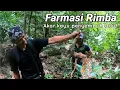 Lagu Ekspedisi Hutan | Farmasi Rimba 