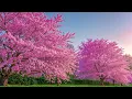 Download Lagu Nomierinoša mūzika nerviem 🌿 Dziedinoša mūzika sirdij un asinsvadiem, relaksācija, mūzika dvēselei