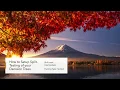 How to Setup Split Testing Inside LeadsHook 1