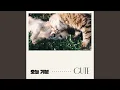 Download Lagu cute love