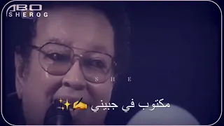كابلي   ب عادك ط ال   دندنها