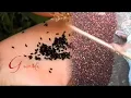 "Guardians of the Seed", /promo of the film doco "Our Seeds".