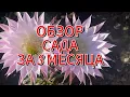 Download Lagu 616ч🏡15.07.25-1 часть//ОБЗОР САДА-ОГОРОДА ЗА 3 МЕСЯЦА/#ст.Ивановская