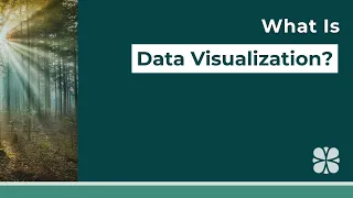 What Is Data Visualization