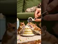 Download Lagu Hamster #shorts #hamster #animals #ai