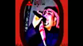 جميل عبدالرحمن شالوها 