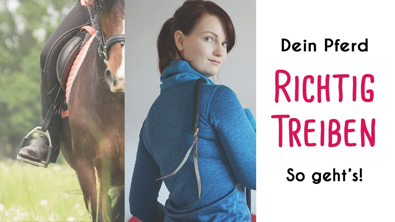 Richtig Treiben in Schritt, Trab und Galopp - so geht's!