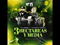 3 Hectáreas y Media
