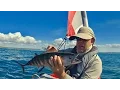 Download Lagu Sail Trolling - Sea bass and Bonitos - Adventure Island - Kayak Fishing - 1080HD 50fps