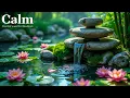 Relaxing Music for Stress Relief Healing of the Mind Relieve Anxiety