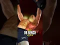 Best Dumbbell Bench Press Tutorial Ever Made