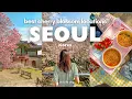 Download Lagu TOP 10 Best Cherry Blossom Spots in Seoul 🌸 | Aesthetic cafes, Hangang picnic | Spring in Seoul VLOG