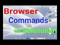 Browser commands in Selenium