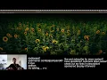 Codewars 8 Kyu - Python Real-Time No Talking