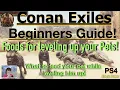 Foods for leveling your Pets Conan Exiles Beginners Guide 20