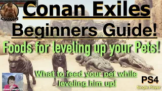 Foods for leveling your Pets Conan Exiles Beginners Guide 20