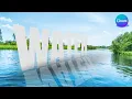 Canva Tutorial 3D Perspective Text Reflection Effect