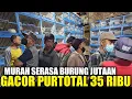 Download Lagu REJEKI SIANG INI ! NEMU BURUNG MASTERAN FULL MATERI SERASA CUCAK CUNGKOK DIJUAL HARGA BAHAN