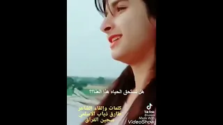 قصيدة حب تبكي المشاهد الشاعر طارق ذياب 