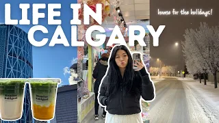 life in calgary home for the holidays snowy days running errands slow winter letitia s 2025