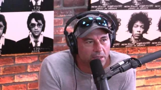 What Ari Shaffir Learned From Traveling Off The Grid For 4 Months The Joe Rogan Experience 