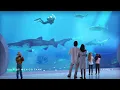 Inside Mote Science Education Aquarium Virtual Tour
