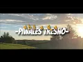 Download Lagu NDX AKA -PIWALES TRESNO- (slowed) lirik